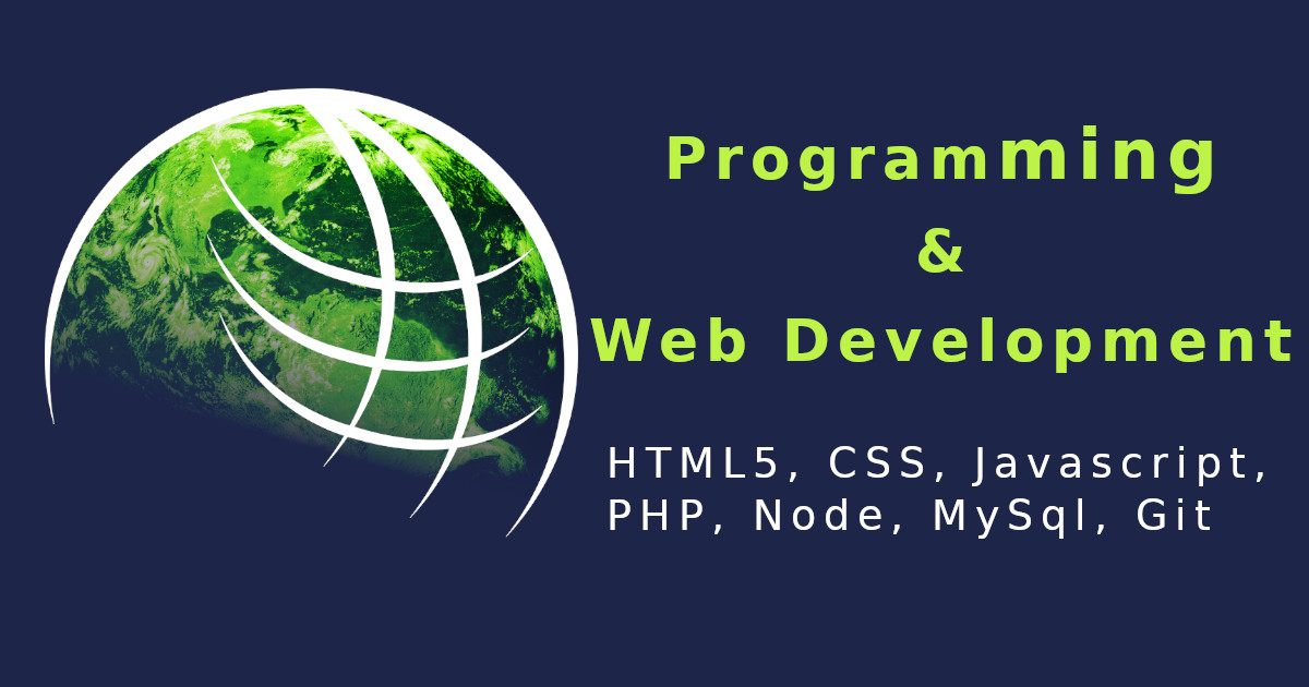 Professional programming and Web services